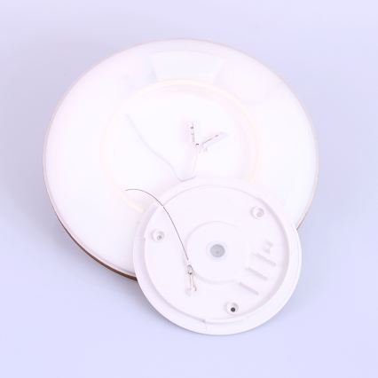 Globo - LED stropna svjetiljka za kupaonicu s prigušivanjem LED/18W/230V promjer 29,4 cm IP44 smeđa