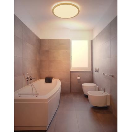 Globo - LED stropna svjetiljka za kupaonicu s prigušivanjem LED/24W/230V 3000K IP44 promjer 42 cm mesing
