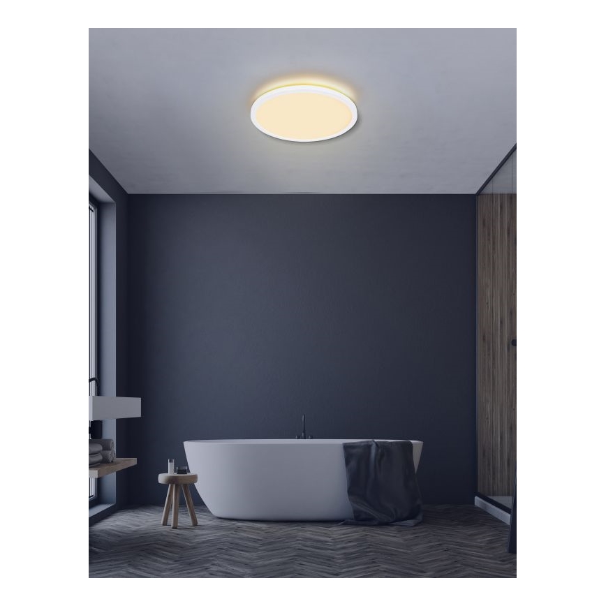 Globo - LED Prigušiva stropna svjetiljka za kupaonicu LED/24W/230V pr. 42 cm IP44 bijela