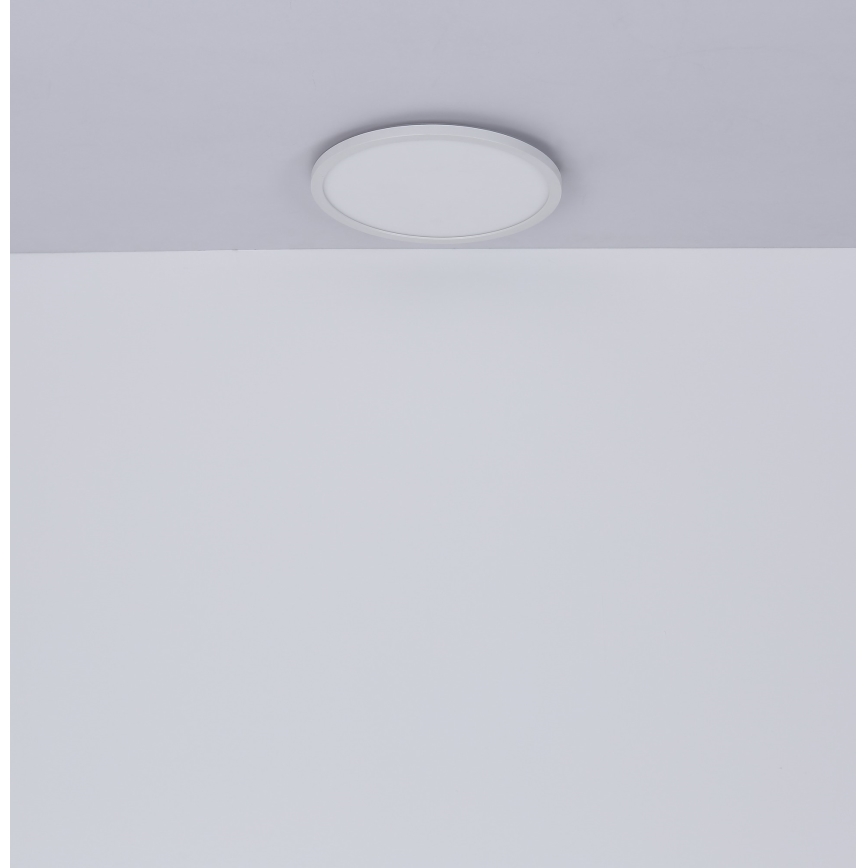 Globo - LED Prigušiva stropna svjetiljka za kupaonicu LED/24W/230V pr. 42 cm IP44 bijela