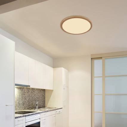 Globo - LED stropna svjetiljka za kupaonicu s prigušivanjem LED/24W/230V promjer 42 cm IP44 smeđa