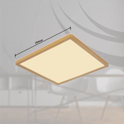 Globo - LED stropna svjetiljka za kupaonicu s prigušivanjem LED/18W/230V 3000K IP44 29,4x29,4 cm mesing