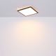 Globo - LED Prigušiva stropna svjetiljka za kupaonicu LED/24W/230V 42x42 cm IP44 crna