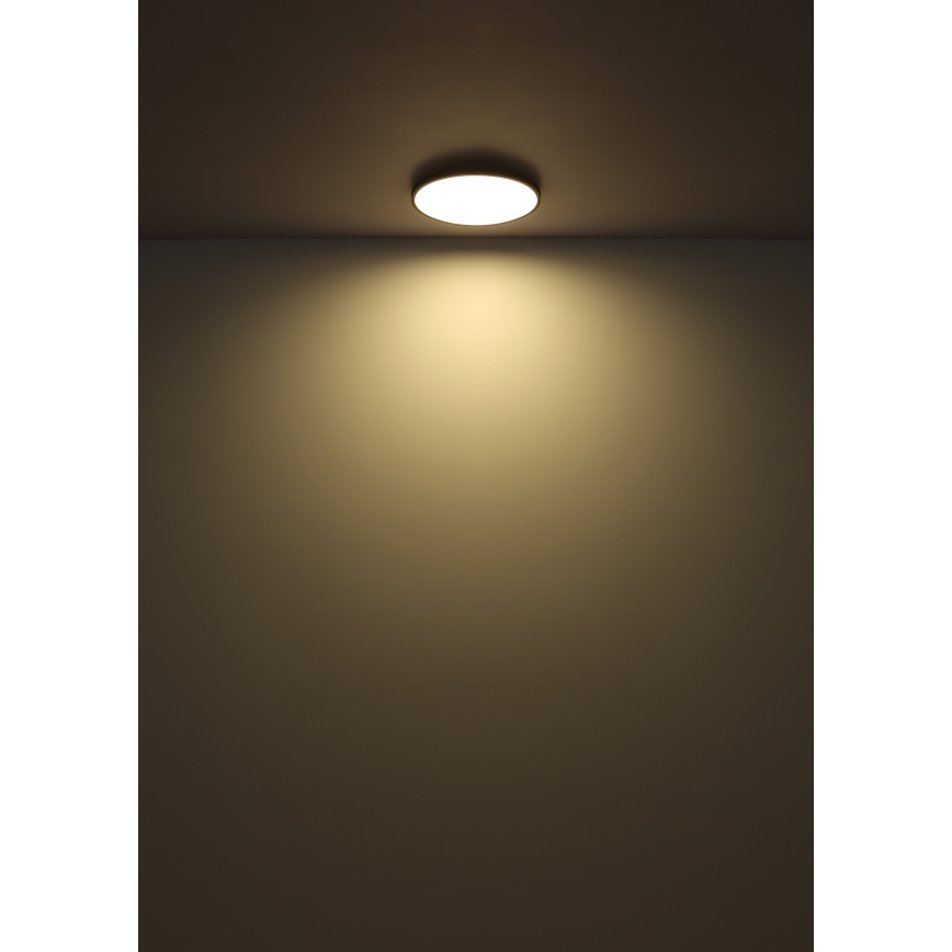 Globo - LED Stropna svjetiljka LED/15W/230V 4000K pr. 23 cm crna