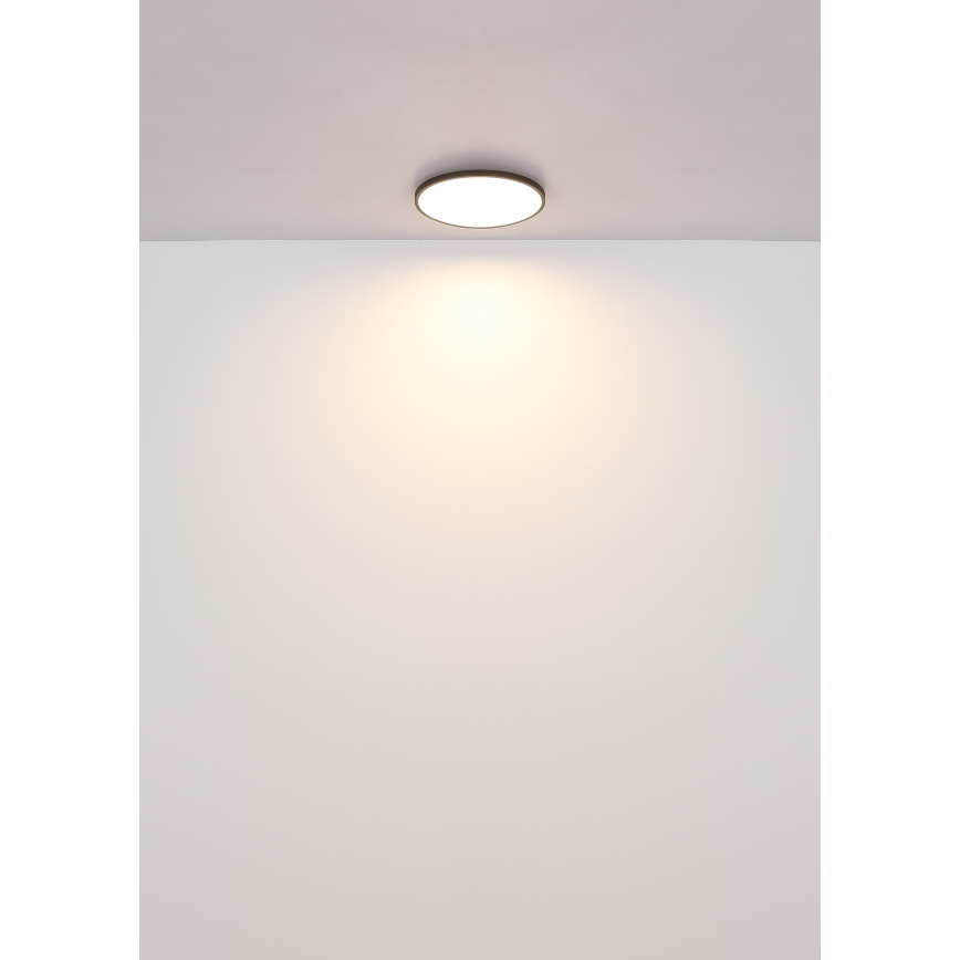 Globo - LED Stropna svjetiljka LED/15W/230V 4000K pr. 23 cm crna