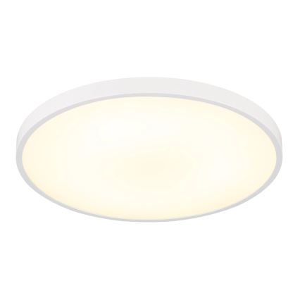 Globo - LED stropno svjetlo LED/15W/230V 4000K Ø 23 cm bijela