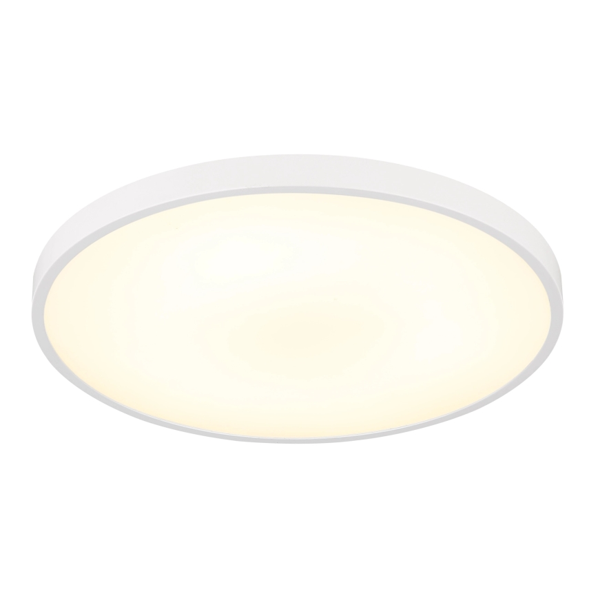 Globo - LED stropno svjetlo LED/15W/230V 4000K Ø 23 cm bijela