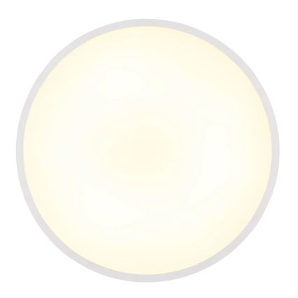 Globo - LED stropna svjetiljka LED/20W/230V 4000K Ø 30 cm bijela