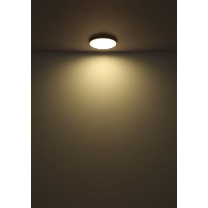 Globo - LED Stropna svjetiljka LED/32W/230V 4000K pr. 40 cm crna