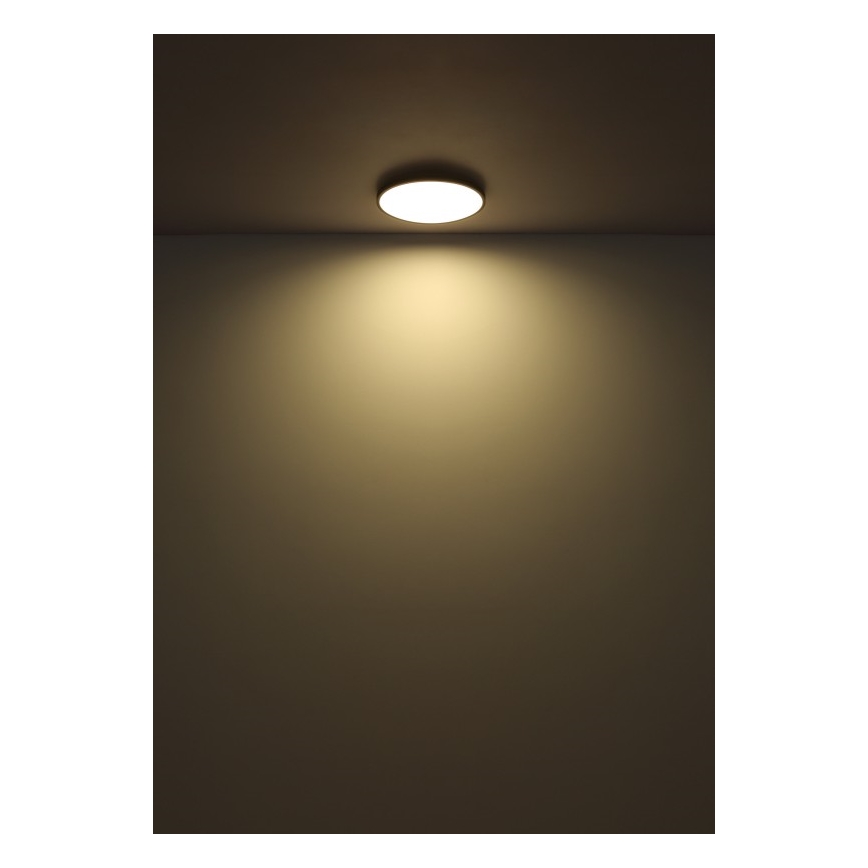 Globo - LED Stropna svjetiljka LED/32W/230V 4000K pr. 40 cm crna