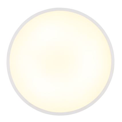 Globo - LED Stropna svjetiljka LED/32W/230V 4000K pr. 40 cm bijela