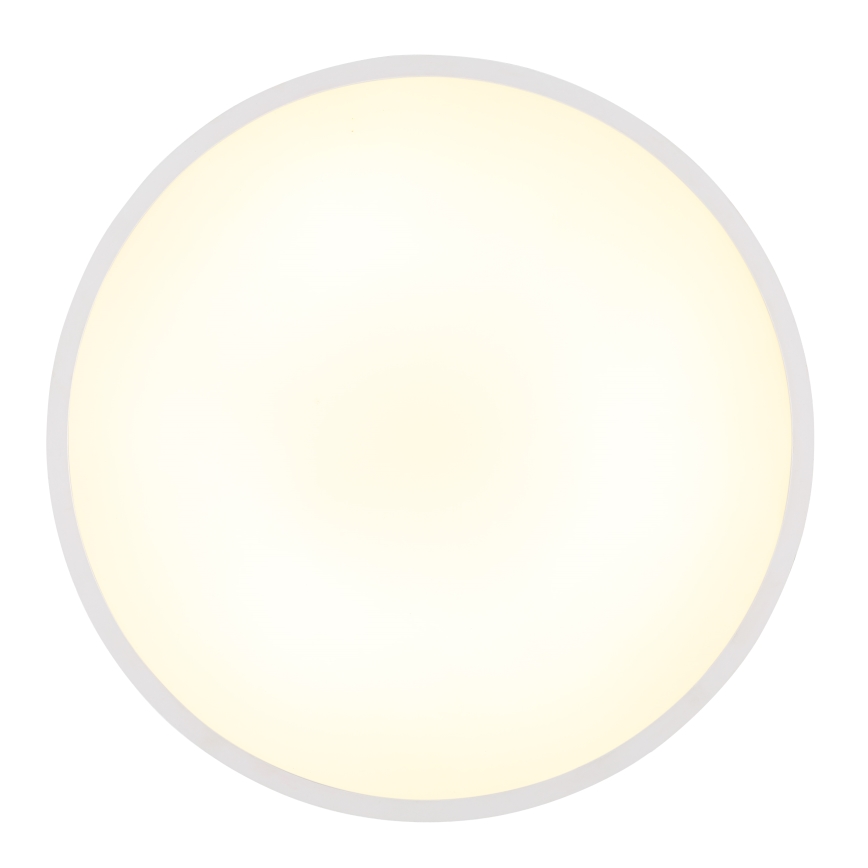 Globo - LED Stropna svjetiljka LED/32W/230V 4000K pr. 40 cm bijela