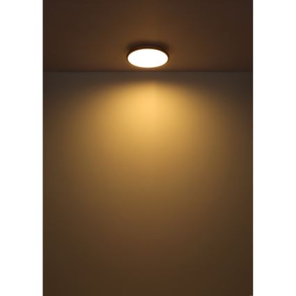 Globo - LED Stropna svjetiljka LED/18W/230V 3000K pr. 35 cm crna