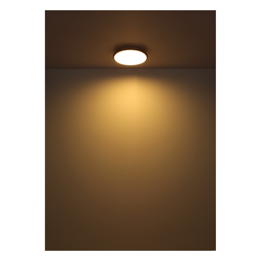 Globo - LED Stropna svjetiljka LED/18W/230V 3000K pr. 35 cm crna