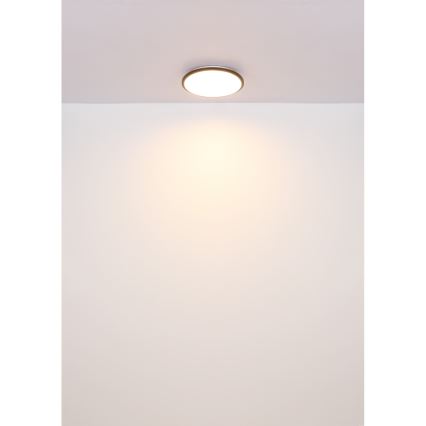 Globo - LED Stropna svjetiljka LED/18W/230V 3000K pr. 35 cm crna
