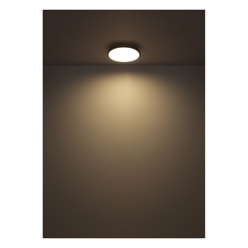 Globo - LED Stropna svjetiljka LED/18W/230V 4000K pr. 35 cm crna