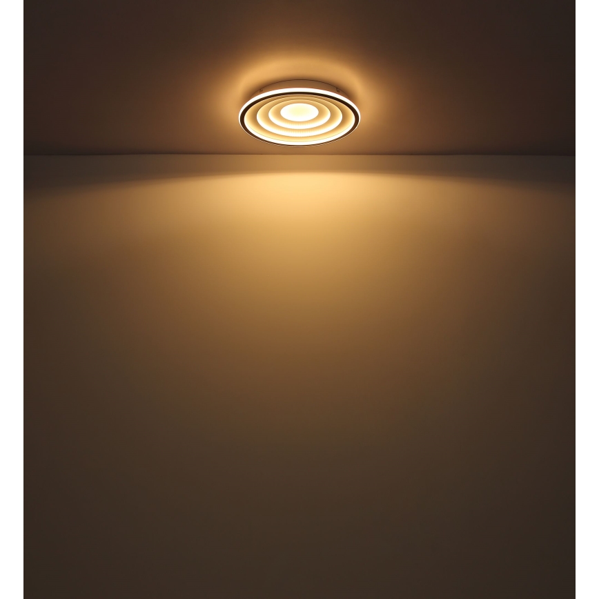 Globo - LED Stropna svjetiljka LED/24W/230V