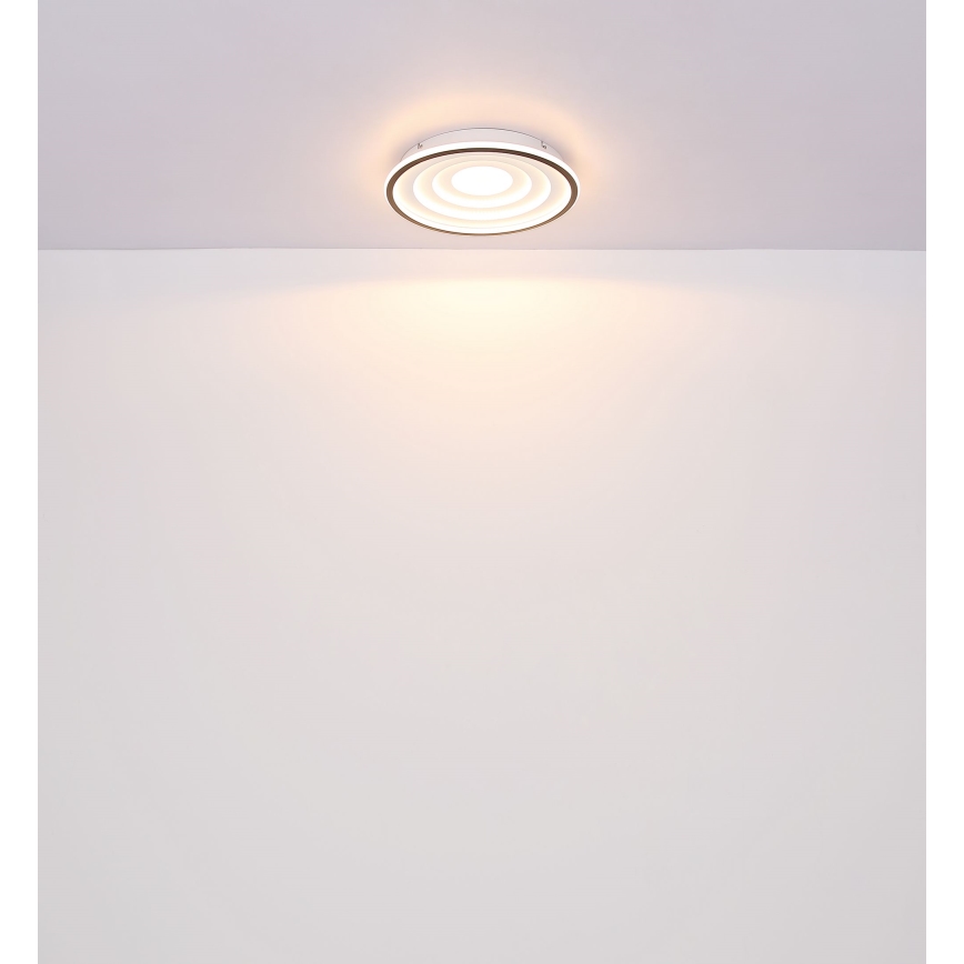 Globo - LED Stropna svjetiljka LED/24W/230V