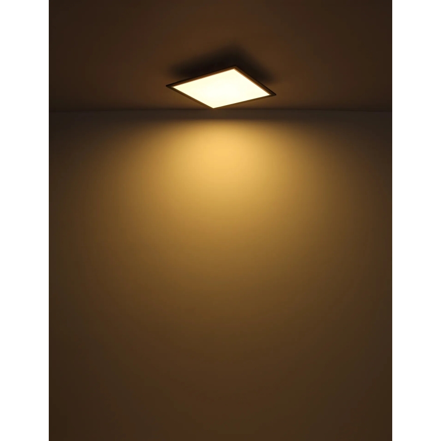 Globo - LED Stropna svjetiljka LED/24W/230V