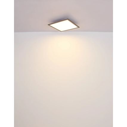 Globo - LED Stropna svjetiljka LED/24W/230V