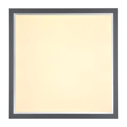 Globo - LED Stropna svjetiljka LED/24W/230V