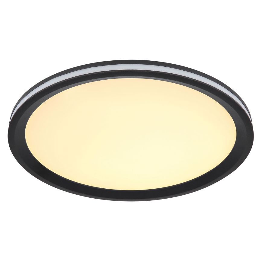 Globo - LED Stropna svjetiljka LED/30W/230V pr. 30 cm