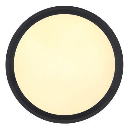 Globo - LED Stropna svjetiljka LED/30W/230V pr. 30 cm