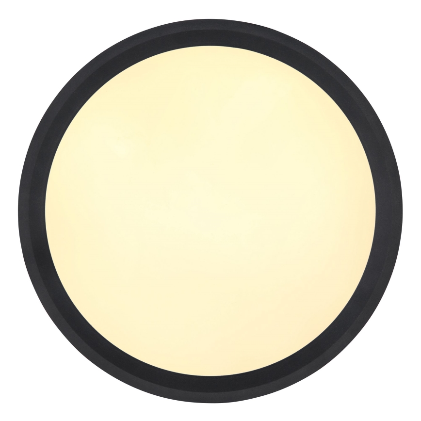 Globo - LED Stropna svjetiljka LED/30W/230V pr. 30 cm
