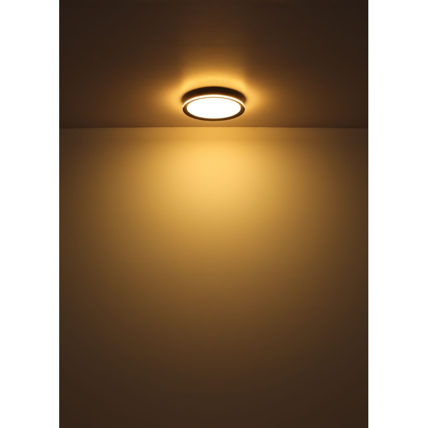 Globo - LED Stropna svjetiljka LED/39W/230V pr. 40 cm