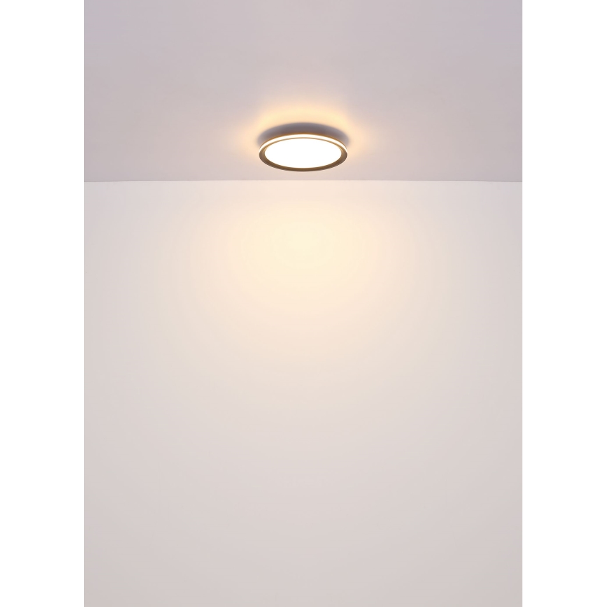 Globo - LED Stropna svjetiljka LED/39W/230V pr. 40 cm