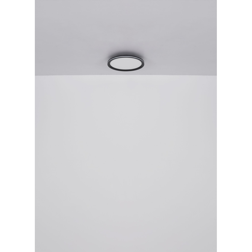 Globo - LED Stropna svjetiljka LED/39W/230V pr. 40 cm