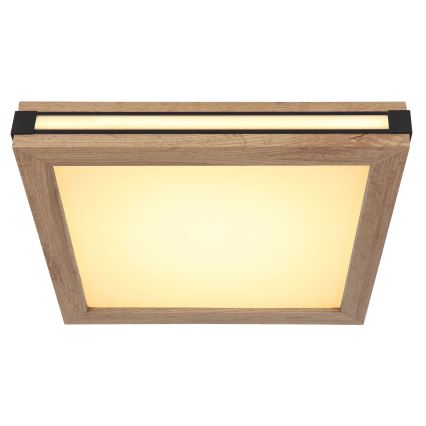 Globo - LED Stropna svjetiljka LED/12W/230V 30x30 cm