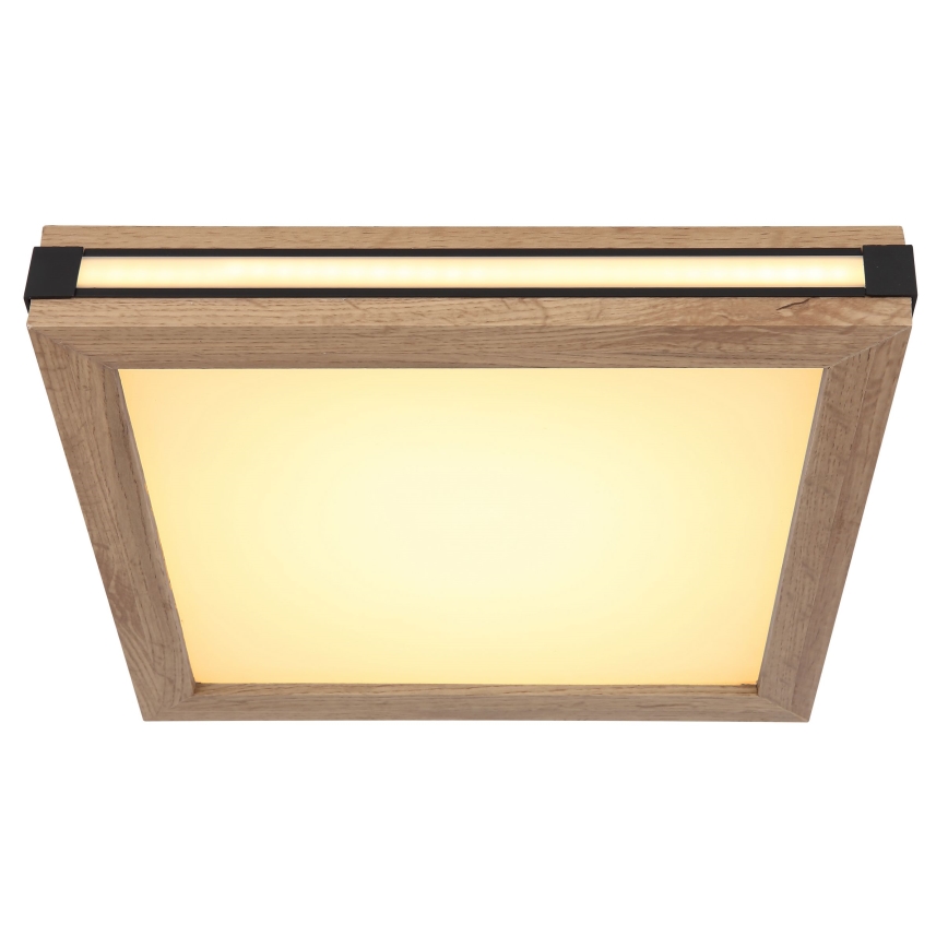 Globo - LED Stropna svjetiljka LED/12W/230V 30x30 cm