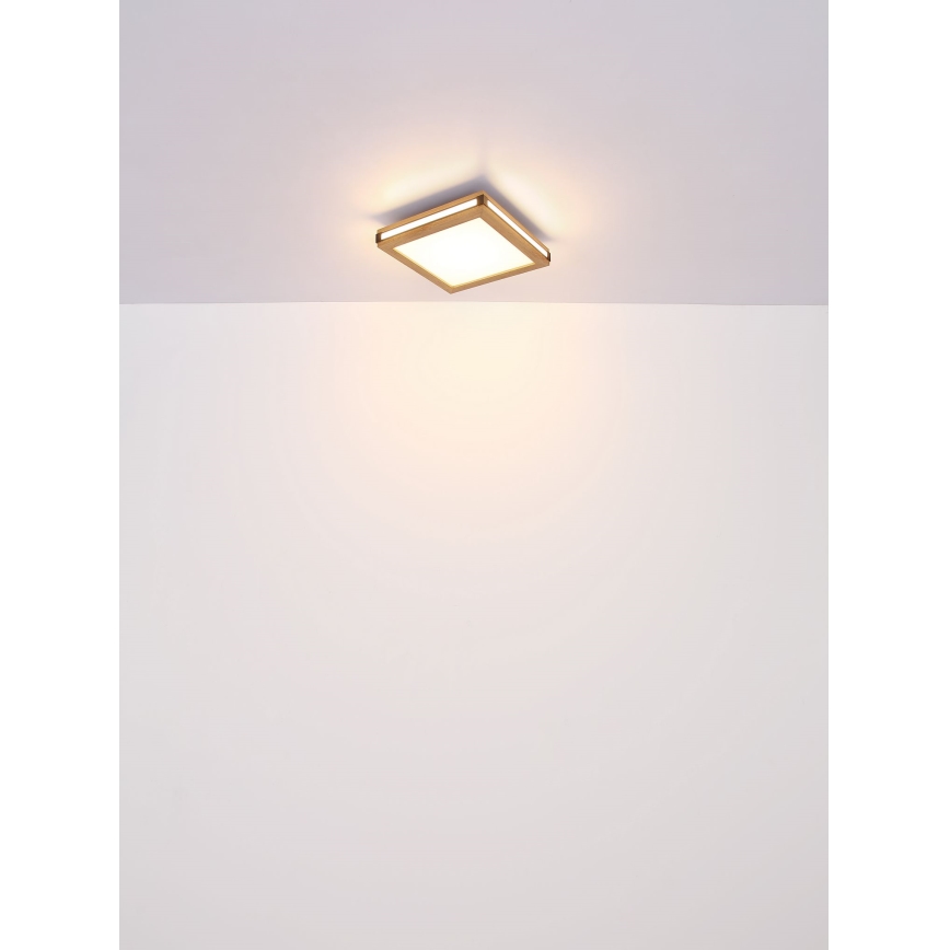 Globo - LED Stropna svjetiljka LED/24W/230V 45x45 cm