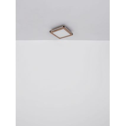 Globo - LED Stropna svjetiljka LED/24W/230V 45x45 cm