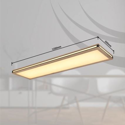 Globo - LED Prigušiva stropna svjetiljka LED/36W/230V 3000K 30x120 cm