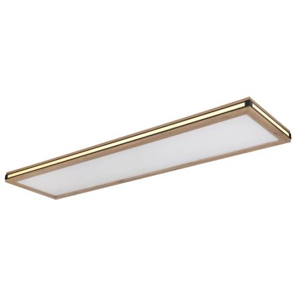 Globo - LED stropna svjetiljka s mogućnošću prigušivanja LED/36W/230V 3000K 30x120 cm