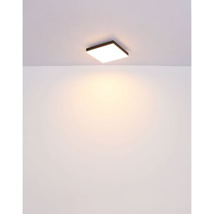 Globo - LED Stropna svjetiljka LED/18W/230V 30x30 cm crna