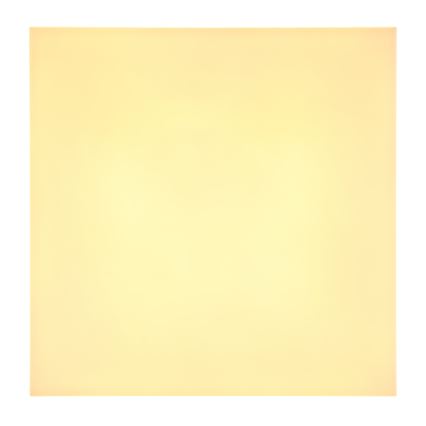 Globo - LED Stropna svjetiljka LED/18W/230V 30x30 cm crna