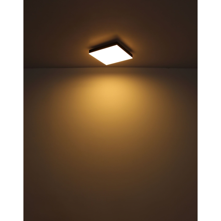Globo - LED Prigušiva stropna svjetiljka LED/24W/230V 2700-6500K crna + daljinski upravljač