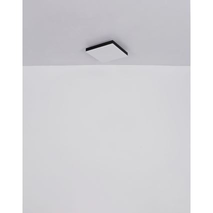 Globo - LED stropna svjetiljka s prigušivanjem LED/24W/230V 2700-6500K crna + daljinski upravljač