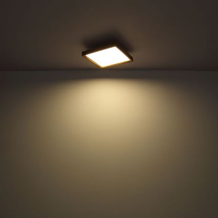 Globo - LED stropna svjetiljka LED/24W/230V 45cm 2700/4500/6500K