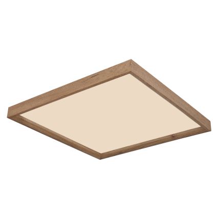 Globo - LED stropna svjetiljka LED/24W/230V 45cm 2700/4500/6500K