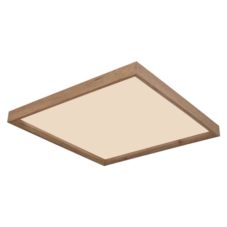 Globo - LED stropna svjetiljka LED/24W/230V 45cm 2700/4500/6500K