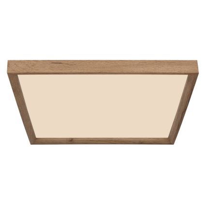 Globo - LED stropna svjetiljka LED/24W/230V 45cm 2700/4500/6500K