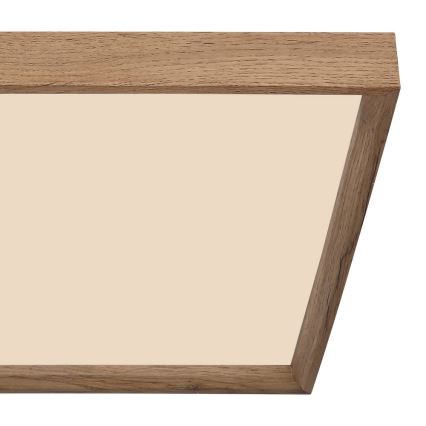 Globo - LED stropna svjetiljka LED/24W/230V 45cm 2700/4500/6500K