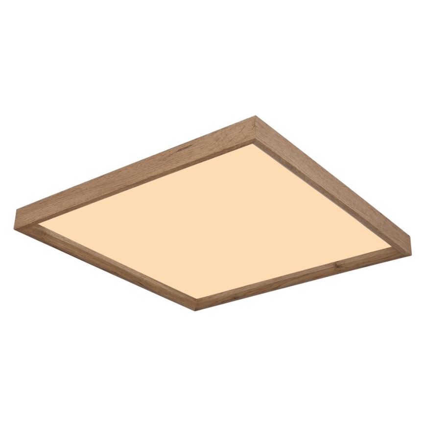 Globo - LED stropna svjetiljka LED/24W/230V 45cm 2700/4500/6500K