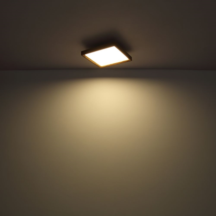 Globo - LED Stropna svjetiljka LED/24W/230V 45cm 2700/4500/6500K
