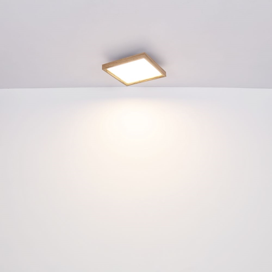 Globo - LED Stropna svjetiljka LED/24W/230V 45cm 2700/4500/6500K
