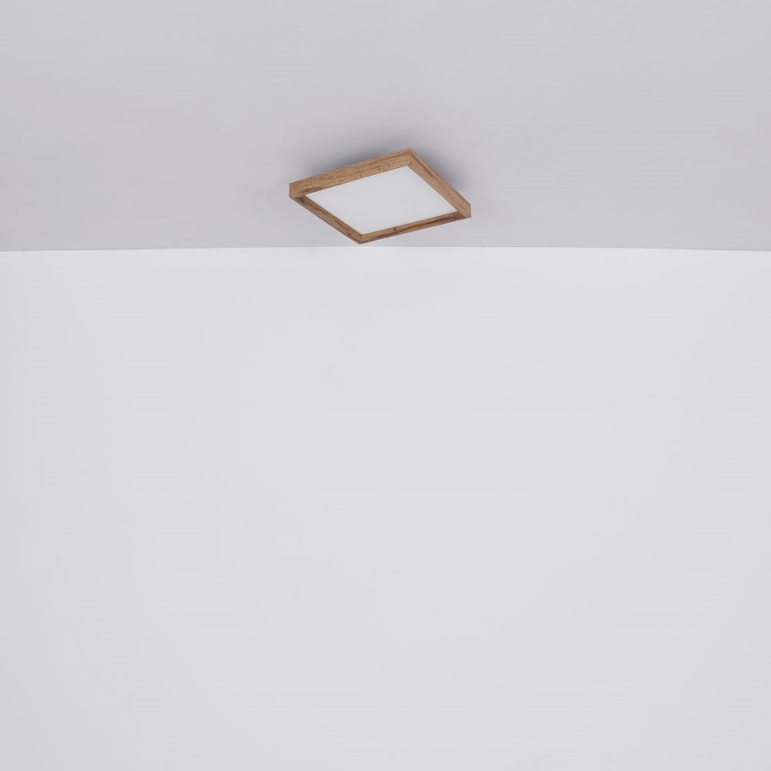 Globo - LED Stropna svjetiljka LED/24W/230V 45cm 2700/4500/6500K